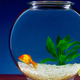Image for article titled Bowls! Bowls as far as the eye can see!